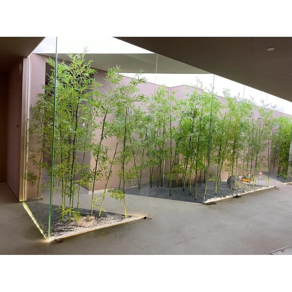 Uimi有米綠植舘 仿真竹子 山水竹 造景景觀室內裝飾 單支小竹葉裝飾 假竹子隔斷造景 | 蝦皮購物