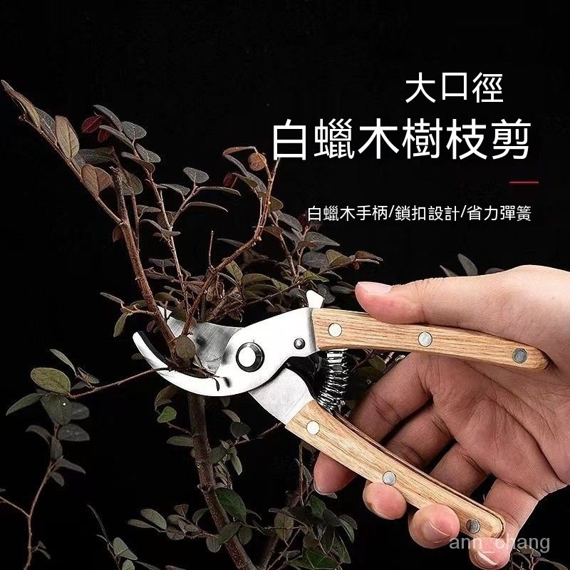 花園園藝剪刀 花園剪刀 修枝剪 園林工具果樹枝剪刀 仿舊剪刀 植物修剪 枝條修剪 | 蝦皮購物