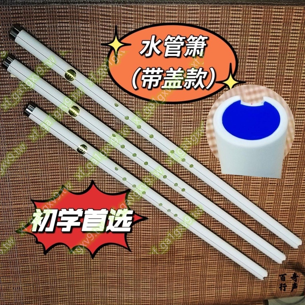 @@洞簫帶蓋長簫GFEA調正反手百竹奇聲水管樹脂簫初學入門八孔簫暢銷無憂ss1 | 蝦皮購物