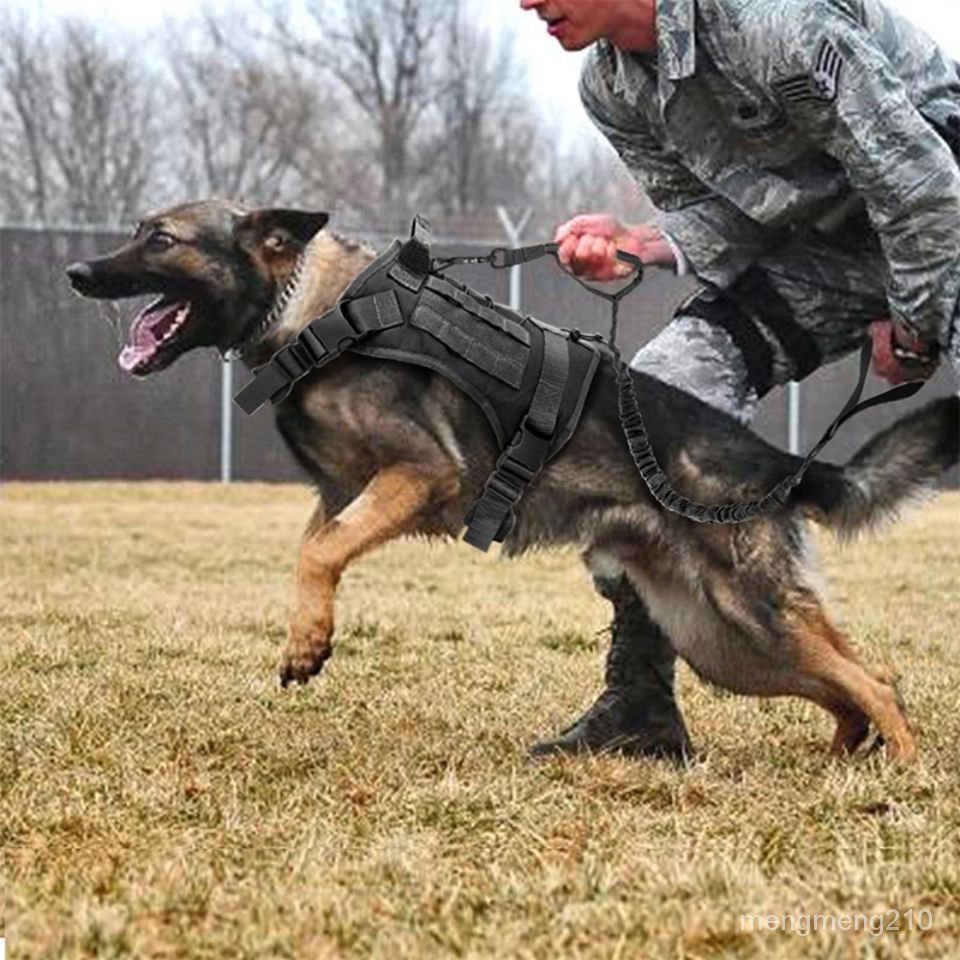 服務狗救援犬軍犬刺繡魔術貼臂章徽章寵物狗狗戰術背心SERVICEDOG, 運動包