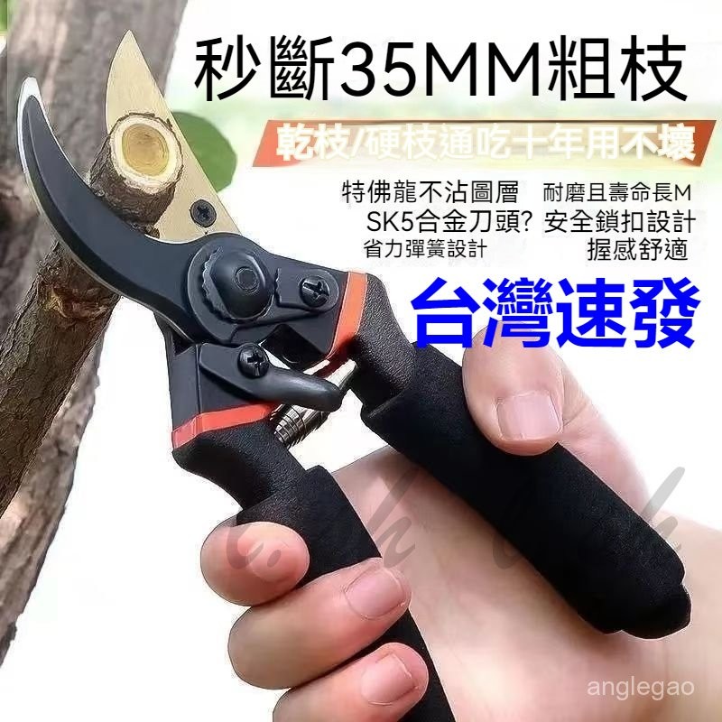 台灣出貨 SK5 樹枝剪 園藝剪 花剪 園藝剪刀 修枝剪 高枝剪 粗枝剪刀 修花剪刀 果樹剪 園藝工具 花藝剪刀 樹剪 | 蝦皮購物