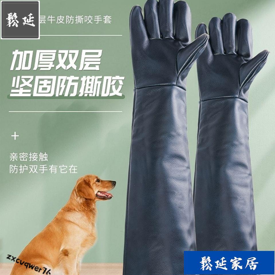 咬狗蛇防咬 - 優惠推薦 - 2026年7月 | 蝦皮購物台灣