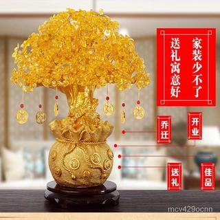 黃水晶發財樹｜優惠推薦- 蝦皮購物- 2025年9月