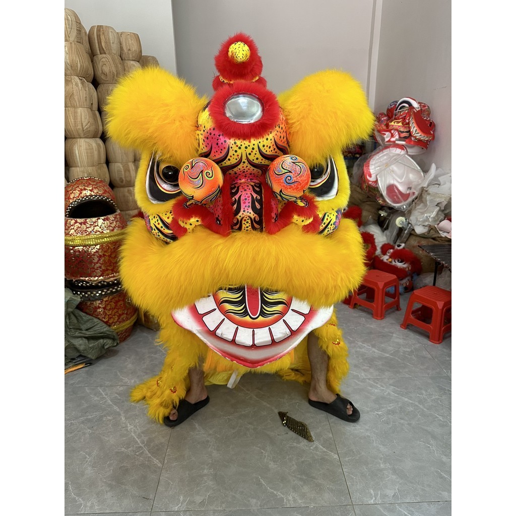 醒獅泡沫獅佛裝舞獅頭3號成人獅中學生舞獅表演全套耐摔輕巧醒獅美樂兒旗艦店 | 蝦皮購物