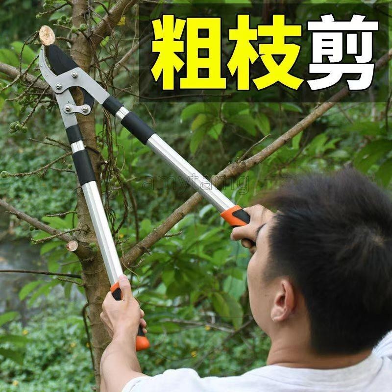 樹枝伸縮高枝剪 伸縮剪枝剪刀 強力修大力粗枝省力 園藝綠化草坪修枝剪 果樹修枝專用樹枝剪 高強硬度 | 蝦皮購物