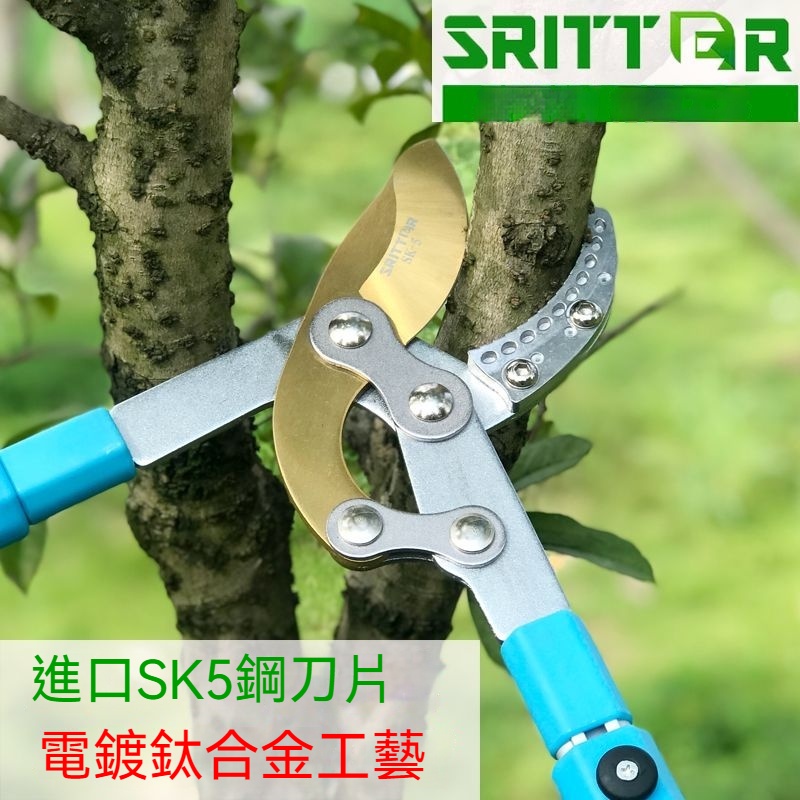 果樹修樹枝剪刀 粗枝剪 樹枝專用剪子 修枝剪 伸縮強力 園藝園林大剪刀 高空剪 園藝器具剪刀 高枝剪 園林剪鋸子高空鋸樹 | 蝦皮購物