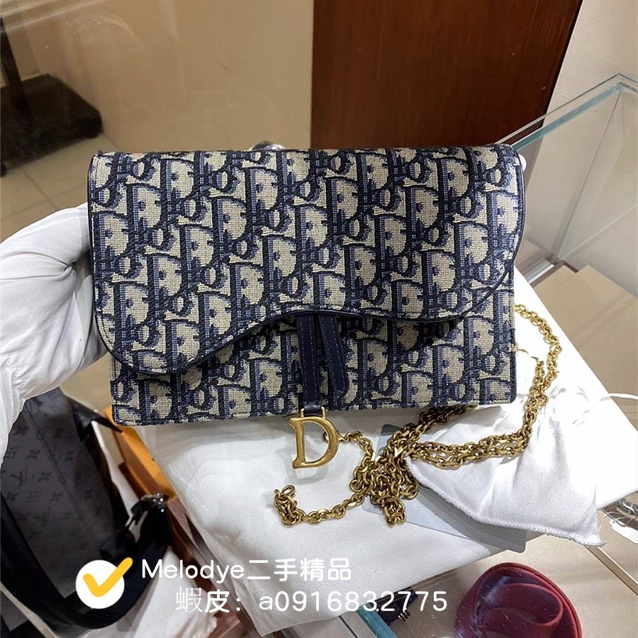 Dior 2025 woc oblique