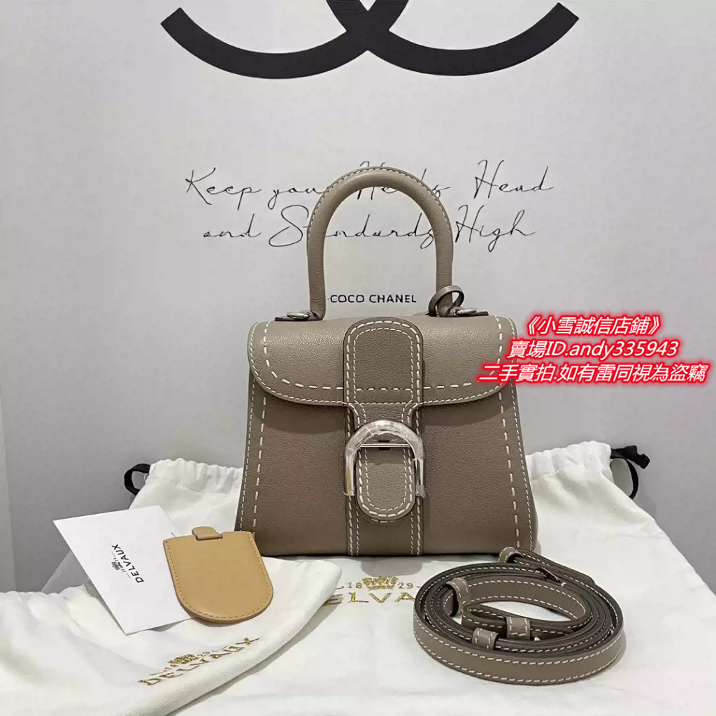 Mini hot sale delvaux bag