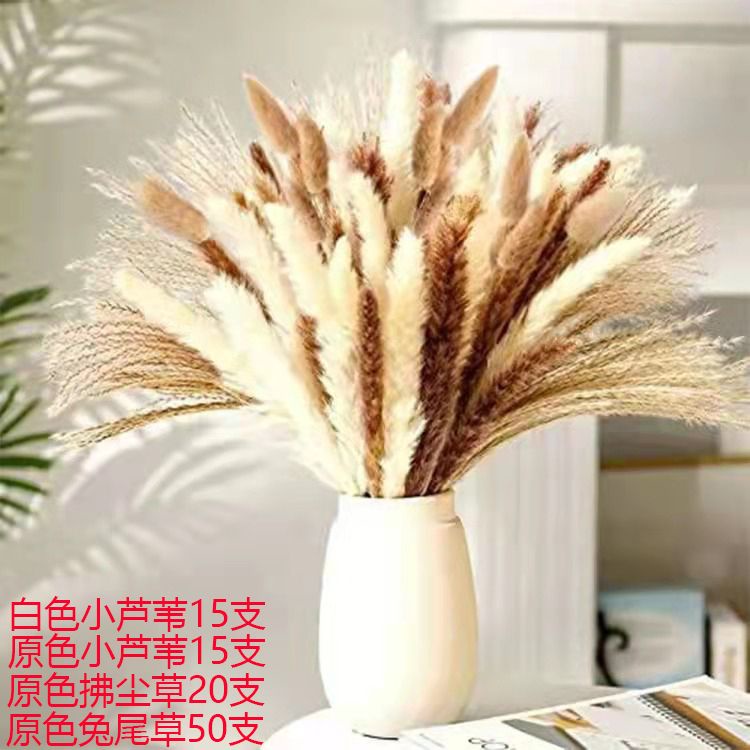 【限時特惠+送禮】蘆葦套裝熱銷蒲葦草小蘆葦幹花兔尾草小拂塵裝飾擺件客廳花束組閤3Q P9PP | 蝦皮購物