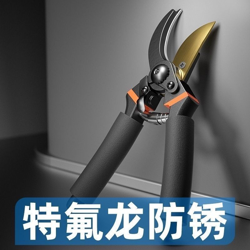 德國進口鋼SK5修枝剪省力家用果樹園林粗枝剪嫁接花藝園藝剪工具 | 蝦皮購物