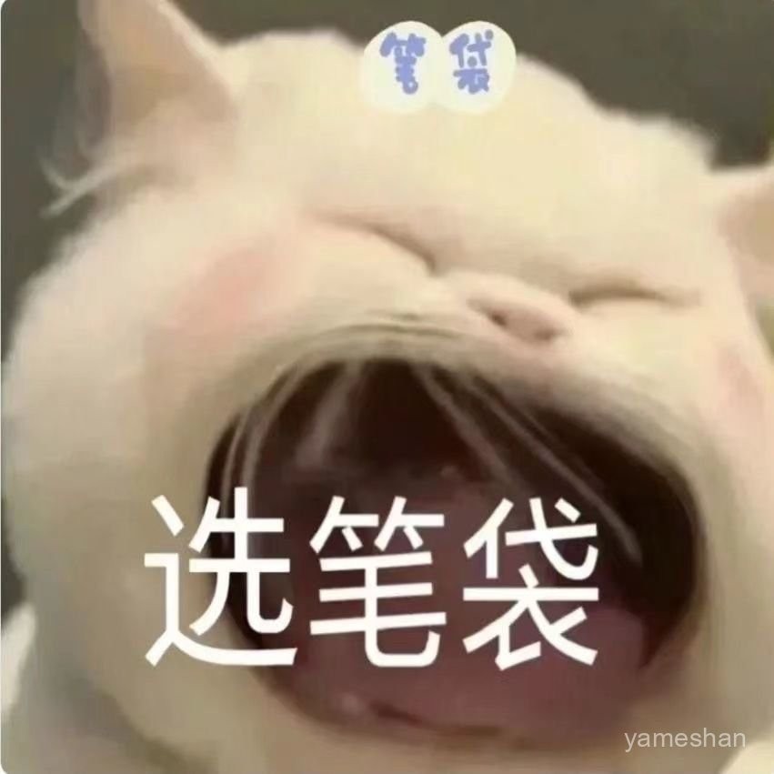 [ 嚴 選 ]大閤集筆袋ins高顔值文具袋可愛學生大容量鉛筆袋卡通日係收納袋 DPZF | 蝦皮購物