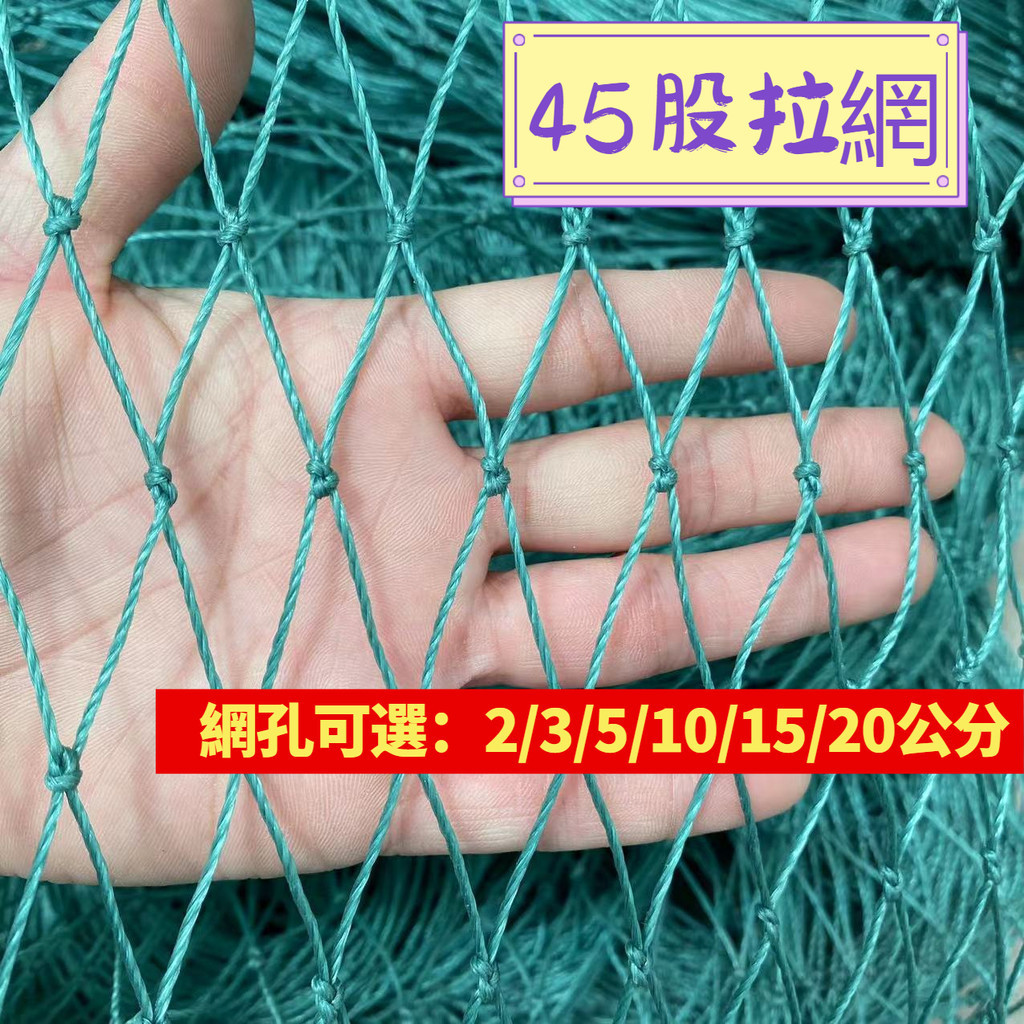 可訂製🔵45股大網孔網 掛網 爬藤網 果園防護網 加粗河道隔斷網 漁網 爬藤網 | 蝦皮購物
