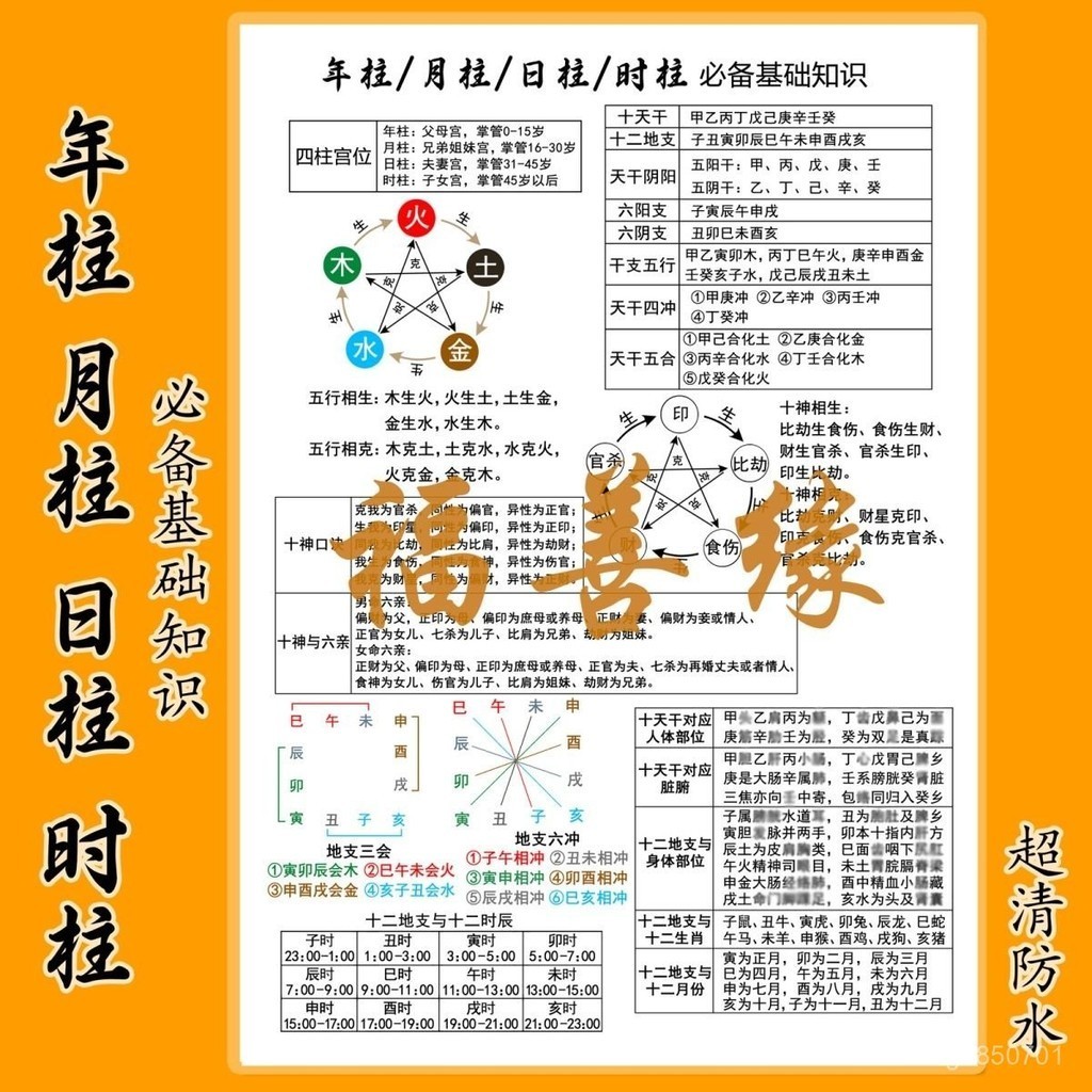 買家優選年柱月柱日柱時柱基礎知識必備 | 蝦皮購物