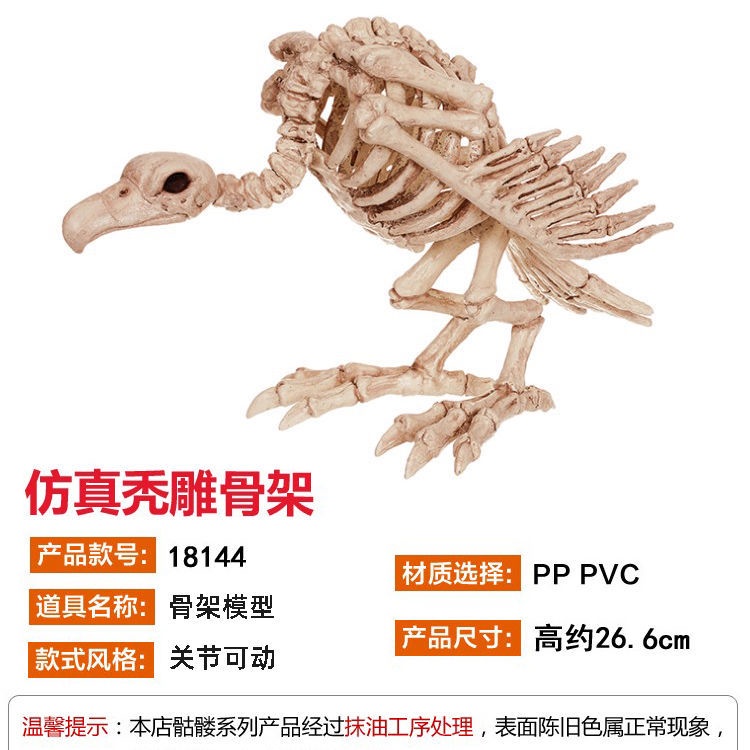 標本動物頭骨頭骨標本頭骨骨頭仿真動物模型烏鴉蛇蜘蛛老鼠骷髏骨架酒吧