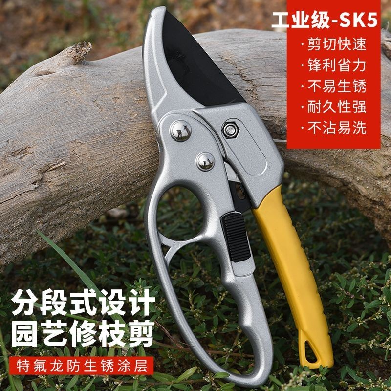 省力果樹修枝剪刀分段式專業園藝修剪樹枝園林修花枝剪粗枝剪子 | 蝦皮購物