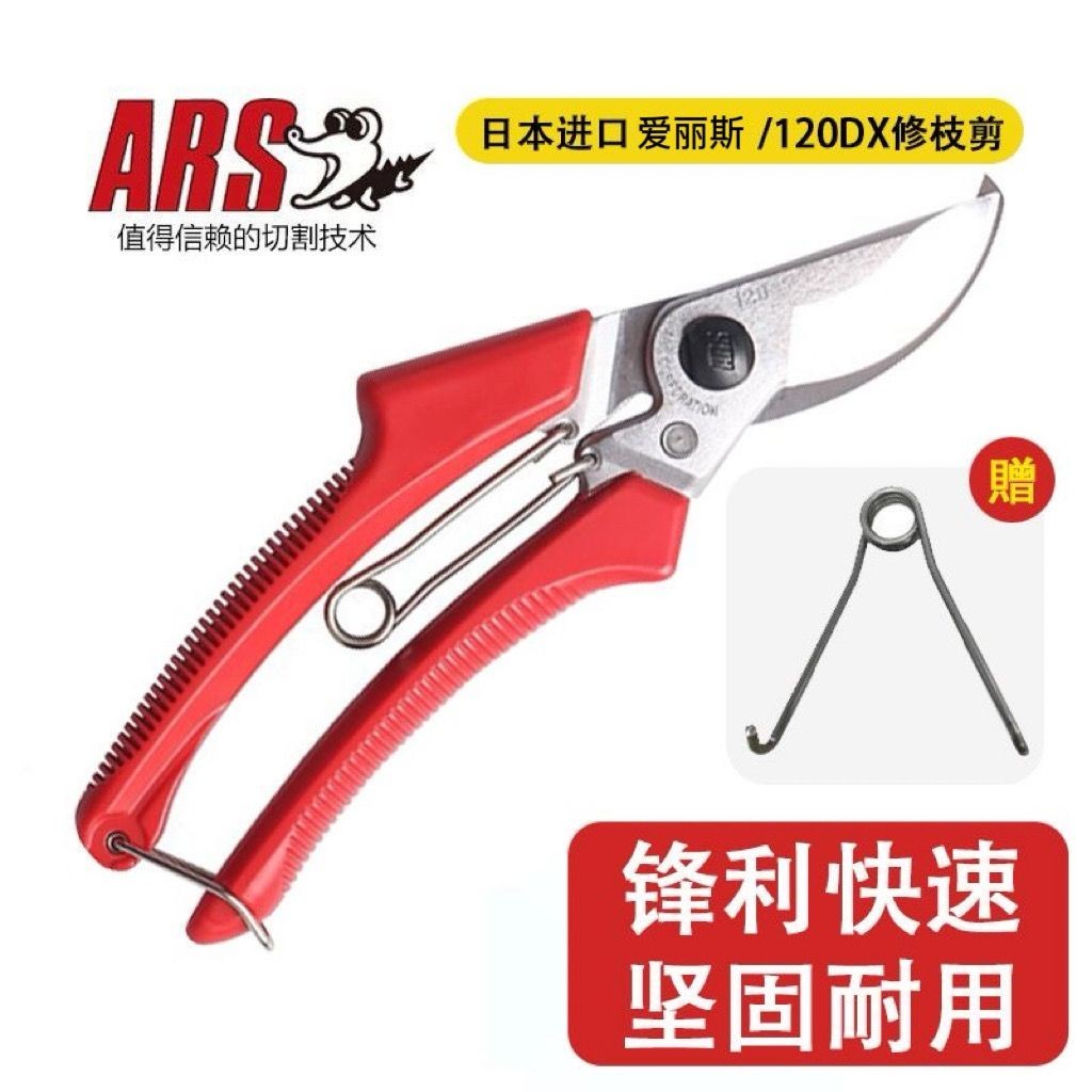 樹枝剪刀/原裝果樹剪正品ARS 120DX手工修枝剪園藝剪刀粗枝剪省力剪~園藝剪 樹剪 花藝剪刀 剪樹刀 修枝剪 園林剪 | 蝦皮購物