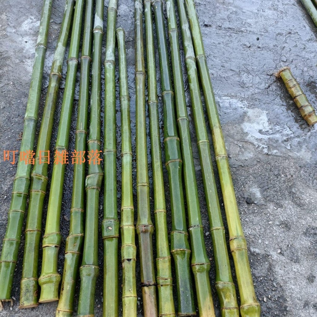 實心竹毛料青皮紅皮手把件異型登山杖毛料 | 蝦皮購物