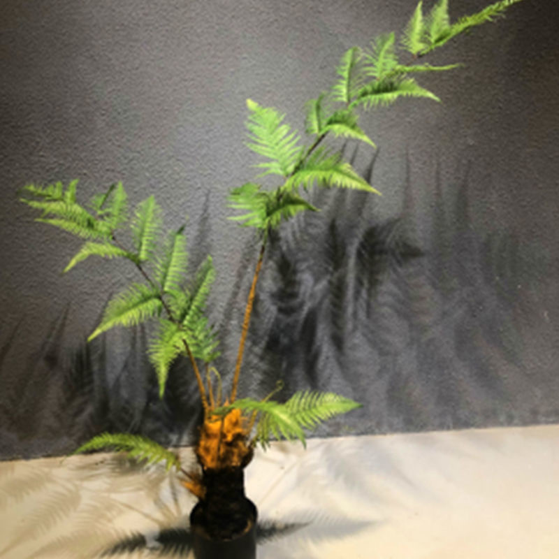 仿真植物 仿真金絲猴頭蕨 客廳室內外仿真蕨類 植物盆栽 仿真猴頭蕨 | 蝦皮購物