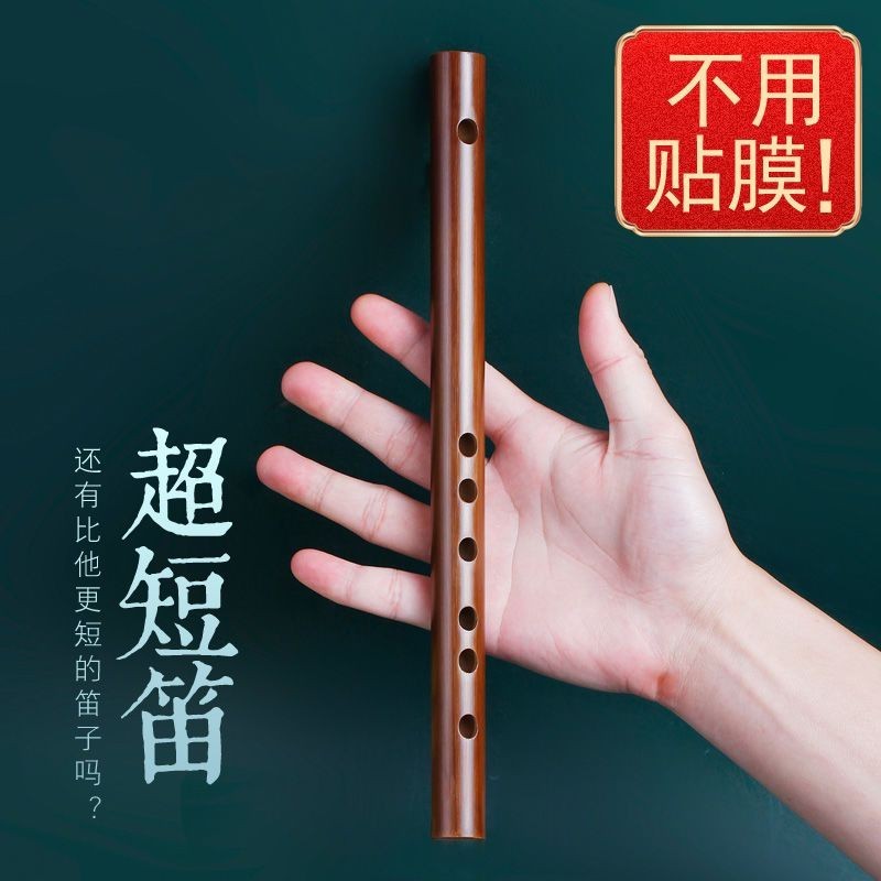 迷你短笛 無膜孔 初學橫笛 入門竹笛 小笛子隨身笛子 木笛 木質笛子 手把件 易學笛子 口袋樂器 古風樂器 I4C6 | 蝦皮購物