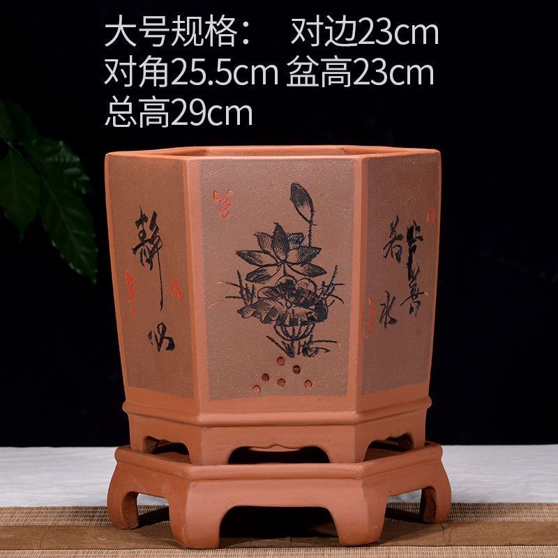 宜興紫砂六角蘭花盆蝴蝶蘭弔蘭室內花盆專用透氣陶瓷花卉綠植盆| 蝦皮購物