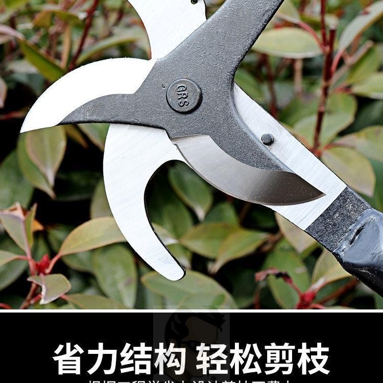 [台灣出貨]家用修枝剪 園林工具 園藝剪高枝剪高空剪SK-5修枝剪果枝剪樹枝剪子園林工具省力剪園藝雙頭剪熱銷 | 蝦皮購物