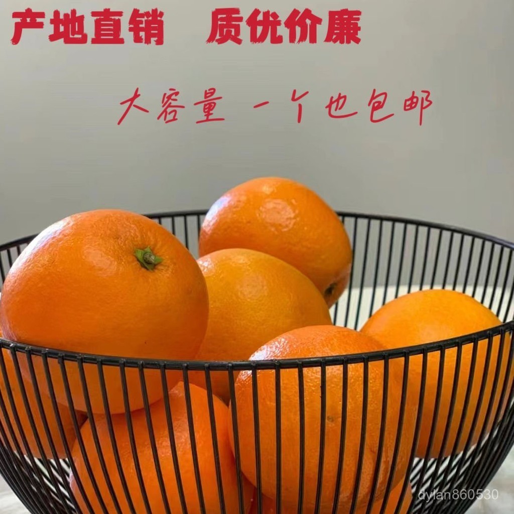 果盤 果籃 傢用水果盆 水果籃 零食收納 鐵藝收納籃果蔬鐵筐超市展示筐幼兒園高溫烤漆果盤水果籃子零食筐 | 蝦皮購物