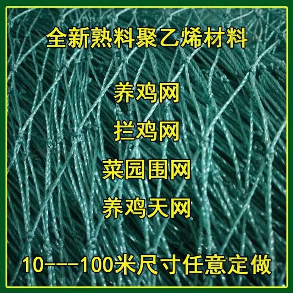 家禽養雞網 菜園網圍網欄雞網山雞防雞網欄雞鴨網好用 方便 | 蝦皮購物