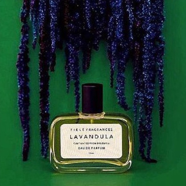 美好薰衣草 菲勒香氛 Fiele Fragrances Lavandula 被温柔包裹的氣息