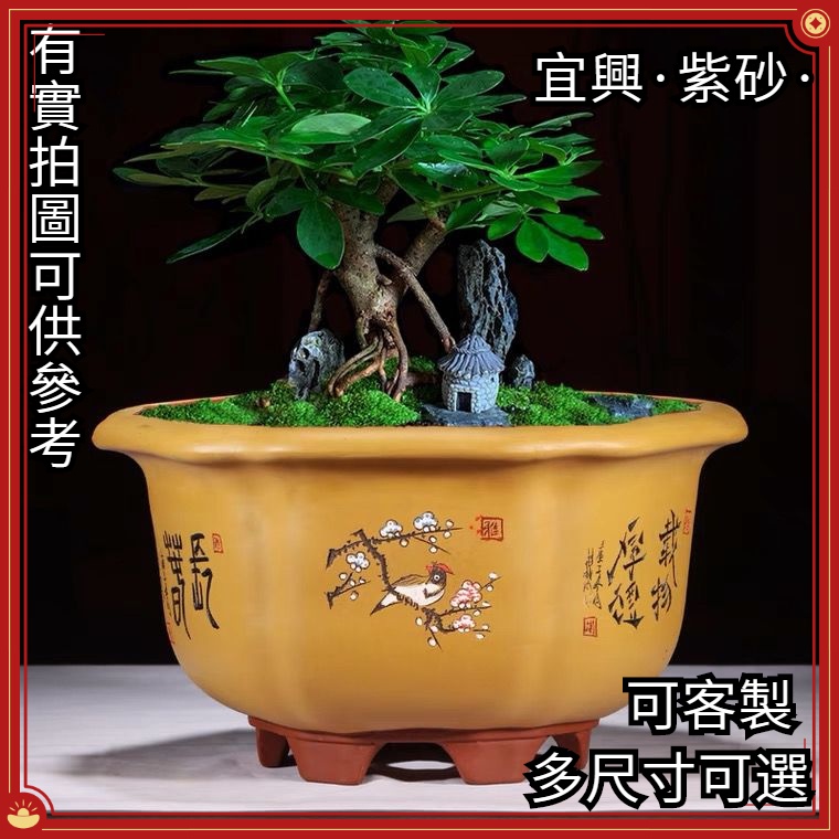 驚きの価格 紫砂花盆 盆栽 中国古美術 高さ12.2cm - 工芸品 工芸