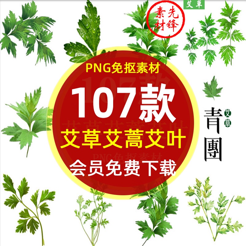 {素材大全}中醫草藥艾草艾葉艾蒿背景PNG免摳圖片養生中藥材艾草插圖PS素材 | 蝦皮購物