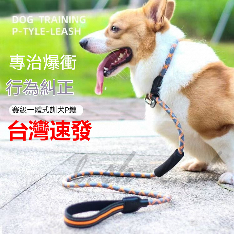 台灣出貨 P字牽繩賽級一體式設計 P繩 P字鏈 P字繩 訓練繩 寵物P字鍊 狗鍊 項圈 P鏈 牽繩 防暴衝 狗狗牽引繩 | 蝦皮購物