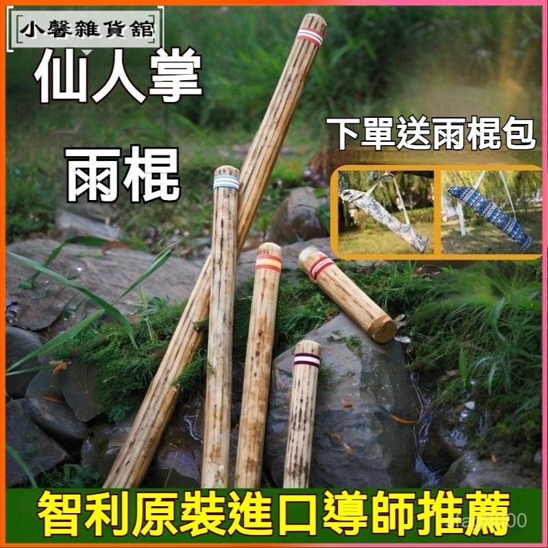 可開發票卡杜斯僊人掌雨棍雨棒南美智利海浪雨聲器瑜伽靜心音療樂器雨聲筒祈雨棒 雨棍 雨聲器 彩繪雨聲筒 雨棒 | 蝦皮購物