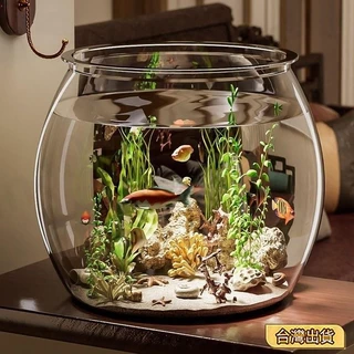 金魚生態缸- 優惠推薦- 2025年8月| 蝦皮購物台灣