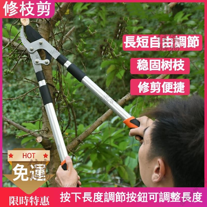 【開發票/統編】樹枝伸縮高枝剪 伸縮剪枝剪刀 強力修大力粗枝省力 園藝綠化草坪修枝剪 果樹修枝專用樹枝剪花木修剪園林修 | 蝦皮購物