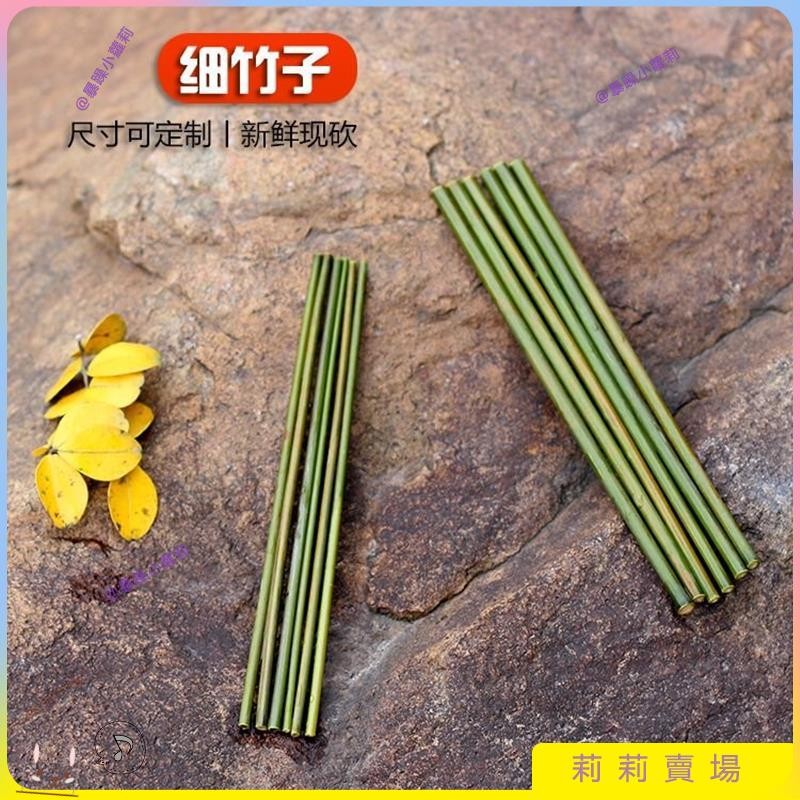 【網紅爆款】新鮮小竹竿小竹子竹棍竹棒綠色竹筒箬竹細長可定製竹條子竹棒棒子 F9JQ | 蝦皮購物