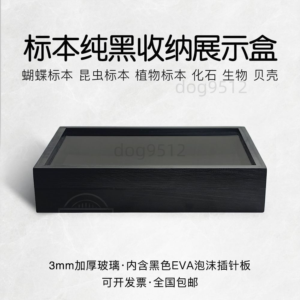 標本箱｜優惠推薦- 蝦皮購物- 2026年5月