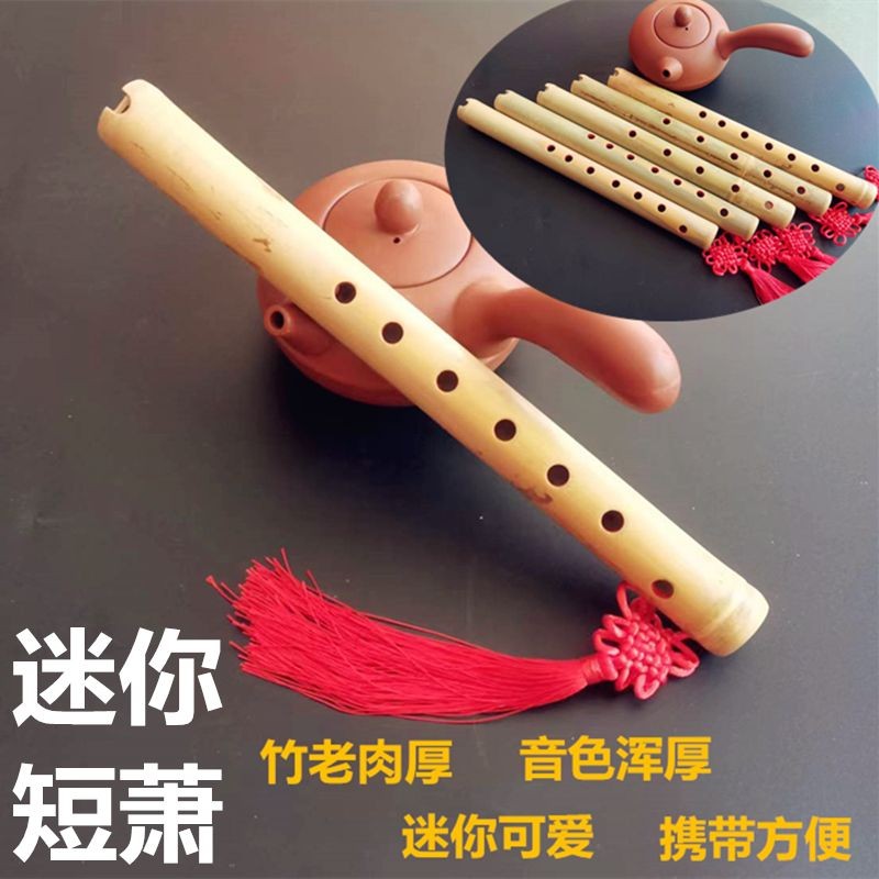長笛 樂器 竹笛 笛子 笛 陳情笛 陶笛 中國笛 短笛 木笛 洞簫一節八孔六孔G調F調桂竹迷你短蕭 | 蝦皮購物