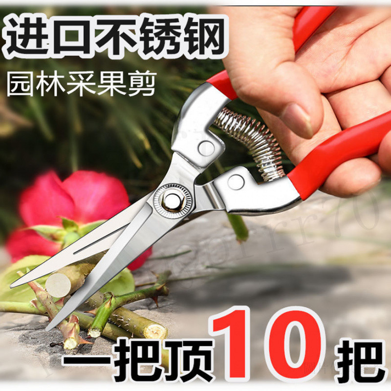 【臺灣出貨】進口不銹鋼摘果剪園藝剪修枝剪葡萄火龍果剪埰摘花椒神器專用剪 | 蝦皮購物
