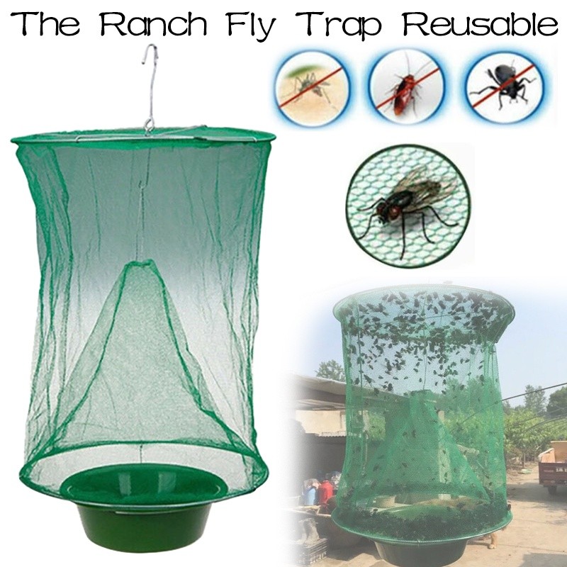 The Ranch Fly Trap Reusable Fly Catcher Killer Cage Net Trap | 蝦皮購物