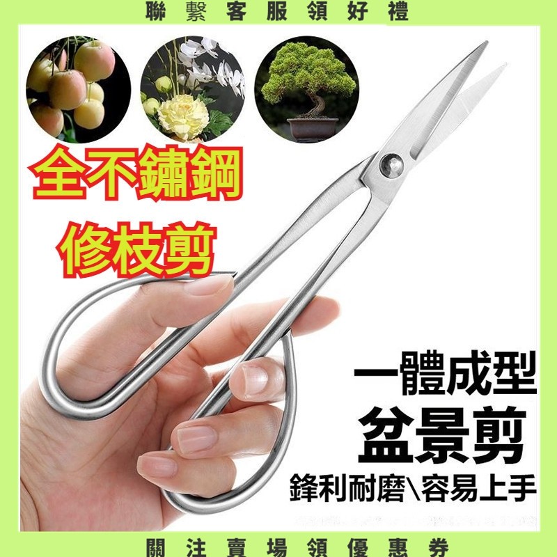 【美美小鋪】全不銹鋼 修枝剪 全套 葉芽剪 專業級 盆景 葉子修剪 修樹枝 專用 蘭花 造型 剪刀 修枝剪 | 蝦皮購物