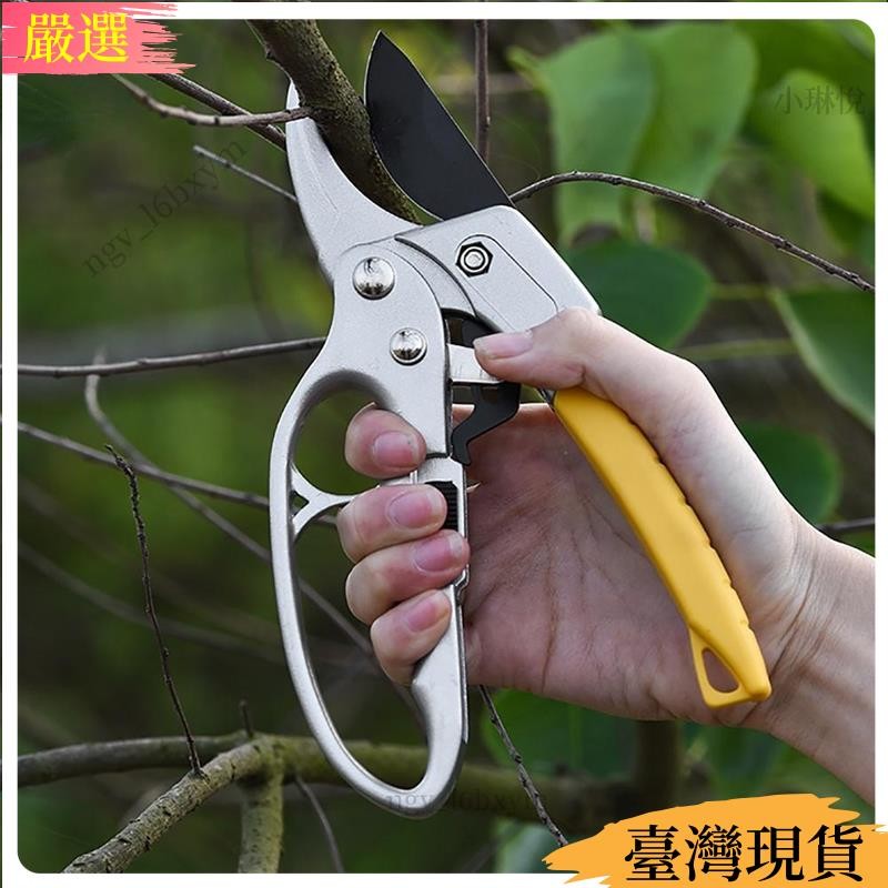 【精選熱銷】1 件裝花園修枝剪高碳鋼園藝植物剪刀樹枝修枝剪修剪工具修枝剪園藝工具21 | 蝦皮購物