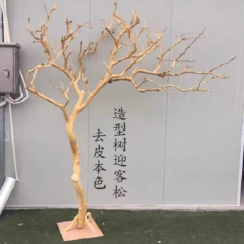 干樹枝造景干枝樹干許愿樹枯樹室內去皮造型樹枝干原木樹枝裝飾樹辰辰嚴選店 | 蝦皮購物