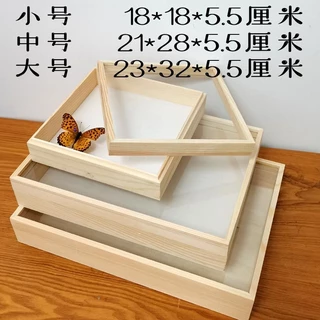 大　中　小　標本箱　展翅板 大 中 小 標本箱 展翅板 標本箱｜優惠推薦- 蝦皮購物- 2025年
