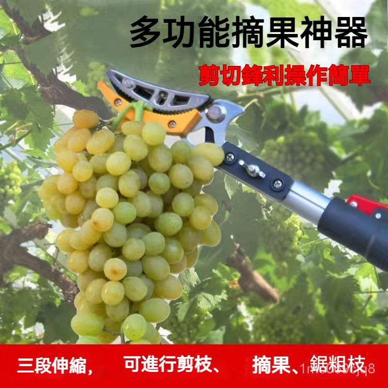 可開發票多功能高空摘果剪摘果器伸縮桿果樹高枝剪剪枝剪刀摘柿子枇杷荔枝 | 蝦皮購物