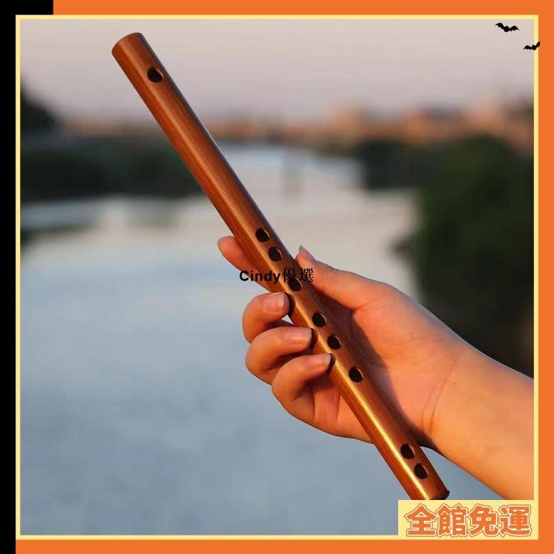 【免運】🚀自學玩具笛子 短笛 竹豎笛 直笛 竹笛子24釐米小樂器 短笛簫 成人簡單易學零基礎樂器短簫 中國笛 古笛 木 | 蝦皮購物