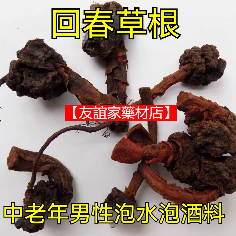 野生回春草根 深山特產回春草 不老草 頂天柱 男性 泡水泡酒料 新貨 | 蝦皮購物