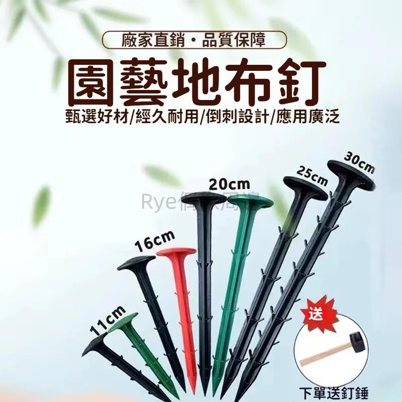 地釘 塑膠釘 塑膠地釘 園藝地佈釘 園藝釘 防草佈地釘 塑膠地佈釘 抑草席釘 加粗加長 塑膠倒刺釘 綠黑色945888 | 蝦皮購物
