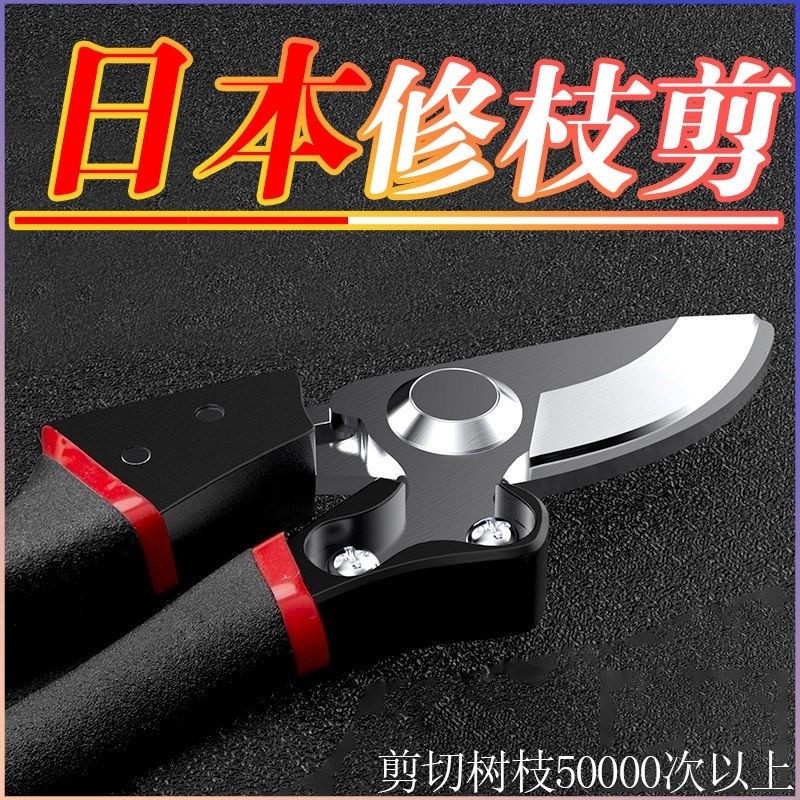 原裝日本進口SK5鋼果樹修剪刀樹枝修剪專用省力剪子園藝剪粗枝剪 | 蝦皮購物