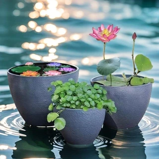 特大荷花缸 • 金魚缸 荷花水缸｜優惠推薦- 蝦皮購物- 2025年8月