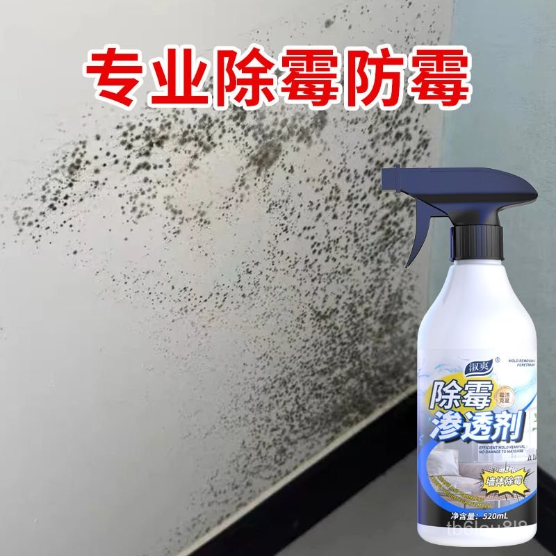 墻體除黴劑 除黴神器 黴斑清除劑 黴點清潔劑 滲透劑 白墻清潔劑 紙墻布黴菌清潔劑 瓷磚清潔劑 髮黴清潔劑 OOTF | 蝦皮購物